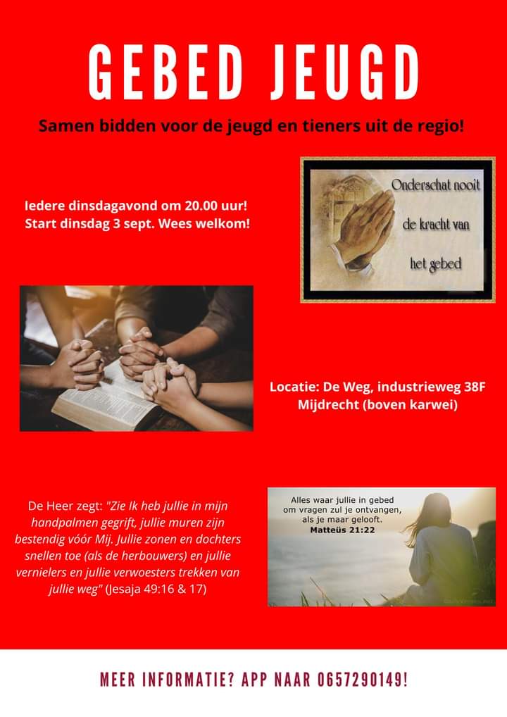 WhatsApp Image 2024-08-27 at 11.50.51